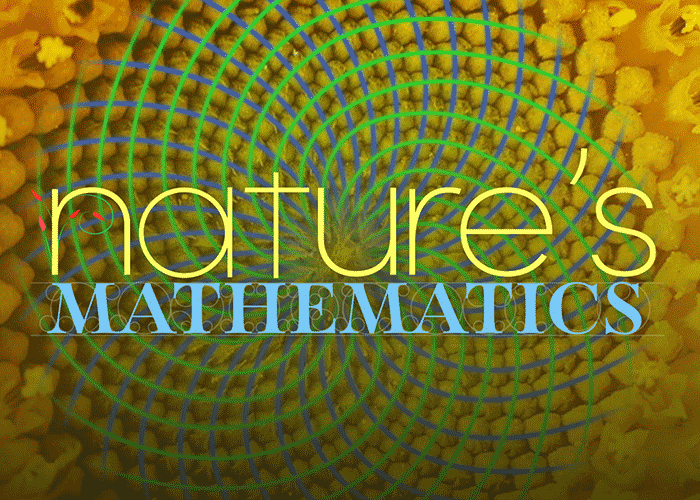 Nature's Mathematics