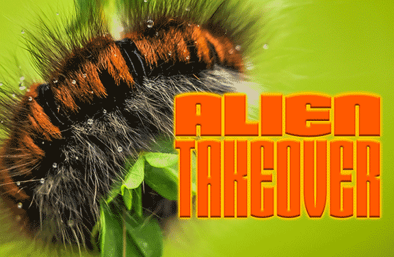 Alien Takeover