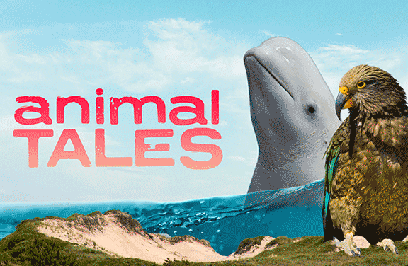 Animal Tales
