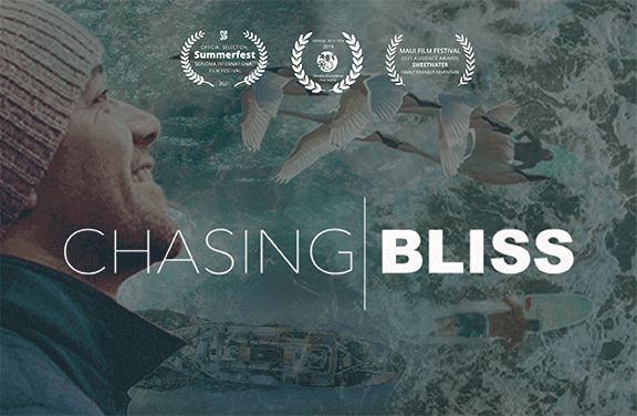 Image for Chasing Bliss