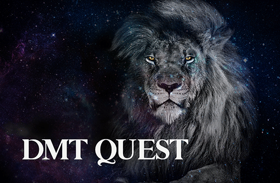 Image for DMT Quest
