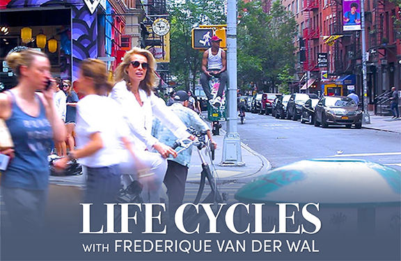 Image for Life Cycles