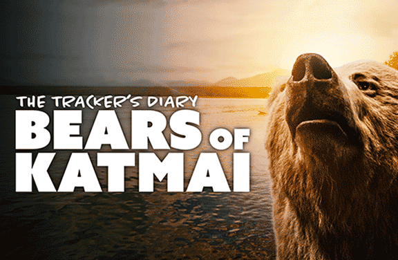 The Tracker's Diary: Bears of Katmai