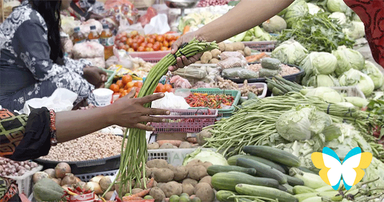 The Purpose of Economics is Flourishing