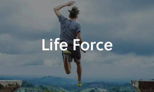 Life Force