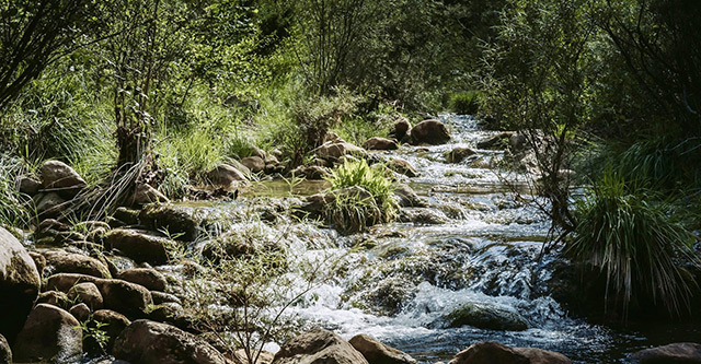 Photo for La Fundació Pioners del Nostre Temps