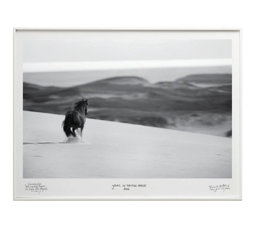 "Something Else" – A lone dark wild horse canters across a vast white sand dune on Sable Island, its mane flowing, with rolling dunes receding into the grey horizon. Photograph by Roberto Dutesco.