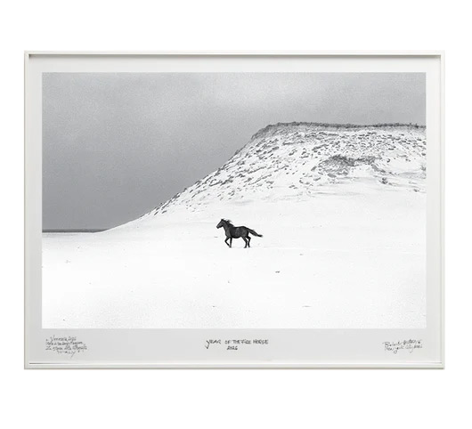 "Run" – A single dark horse gallops freely across a bright white sand dune on Sable Island, a tiny figure against the vast sweep of dune and overcast sky. Photograph by Roberto Dutesco.