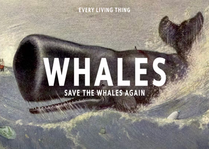 Save the Whales Again