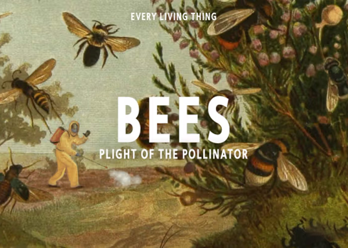 Bees: Plight of the Pollinator