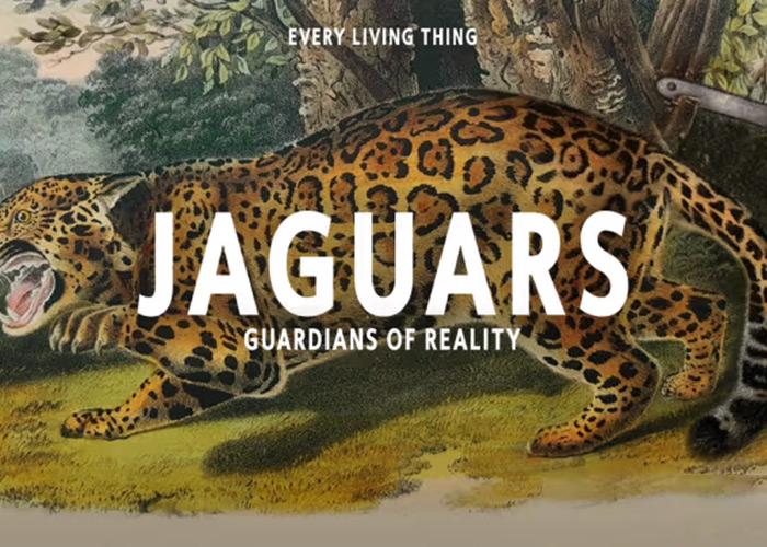 Jaguars: Guardians of Reality