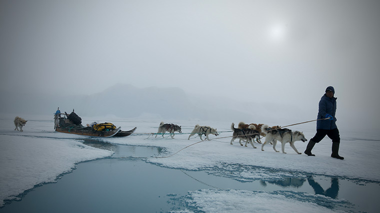 Poster image for CORE Polar Initiative
