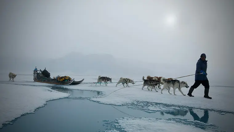 Poster image for CORE Polar Initiative