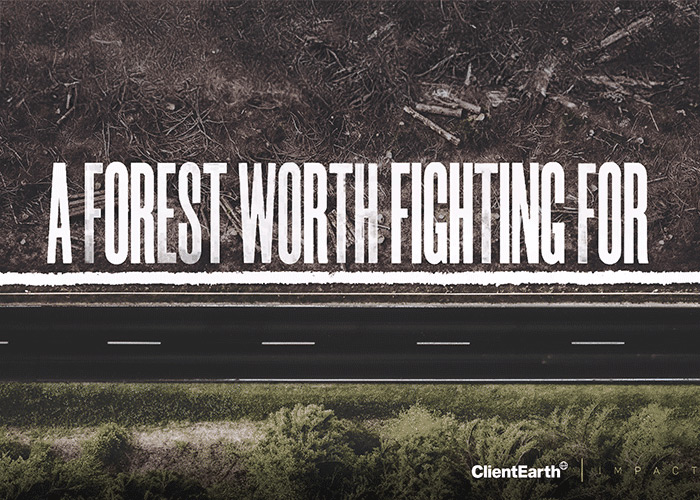 A Forest Worth Fighting For