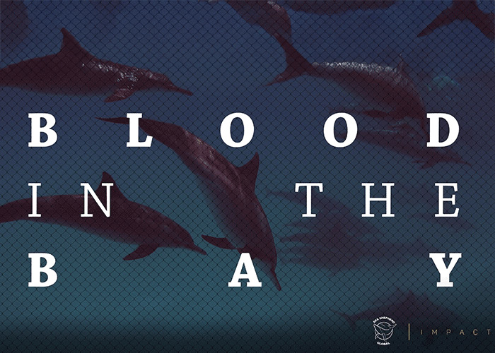 Blood in the Bay