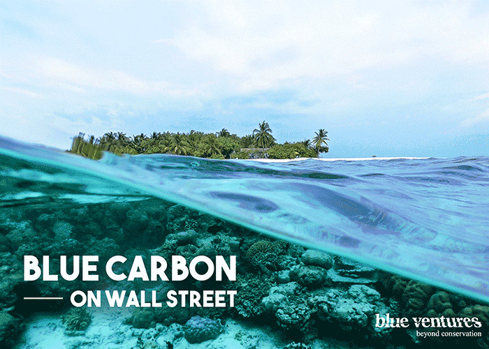 Blue Carbon on Wall Street