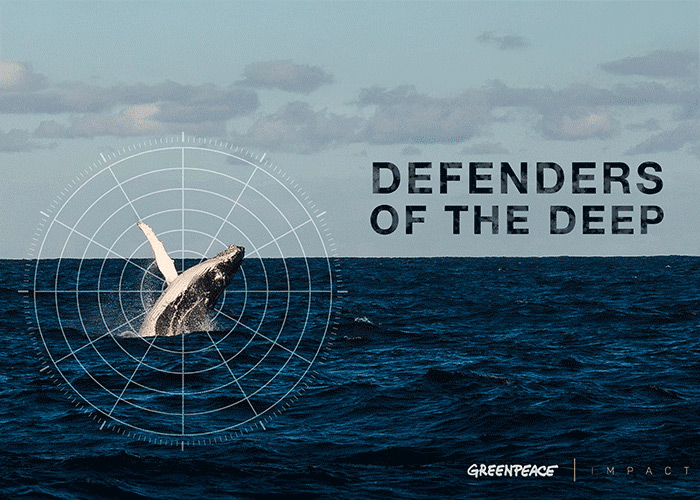 Defenders of the Deep