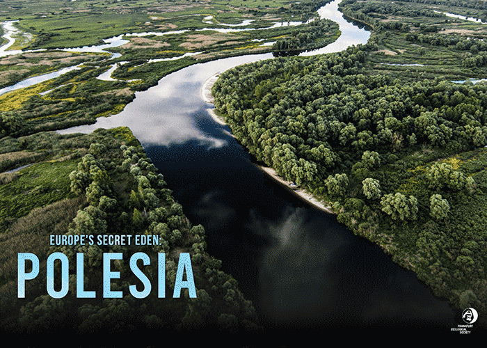 Europe's Secret Eden: Polesia