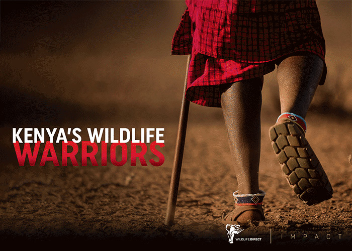 Kenya's Wildlife Warriors