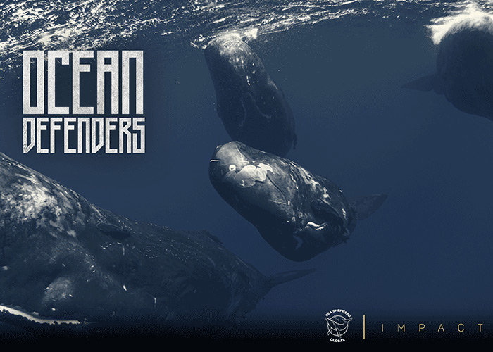 Ocean Defenders