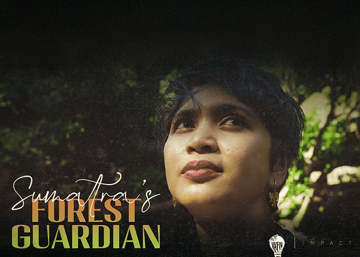 Sumatra's Forest Guardian