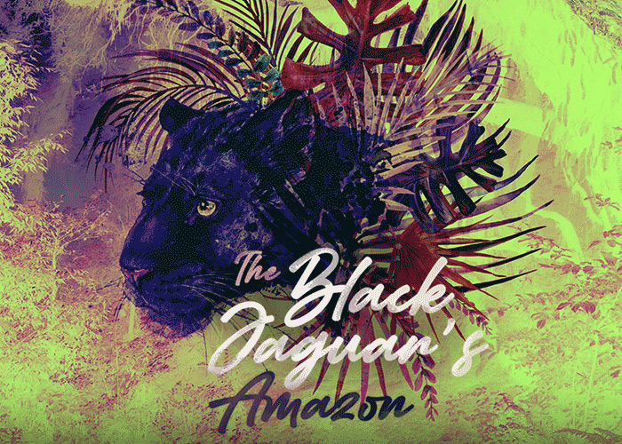 The Black Jaguar's Amazon