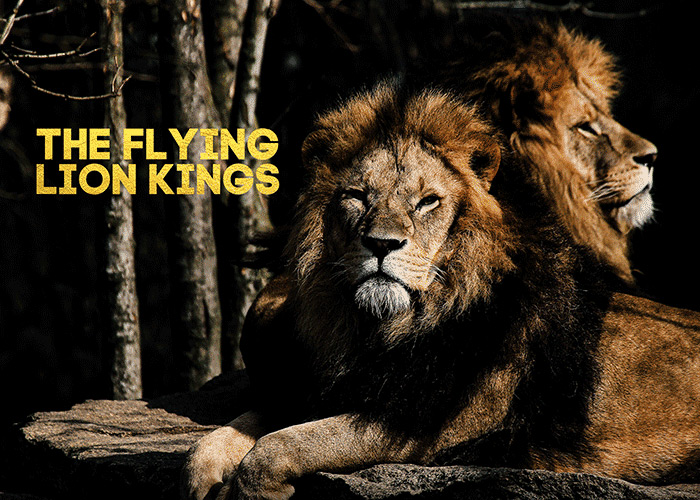 The Flying Lion Kings