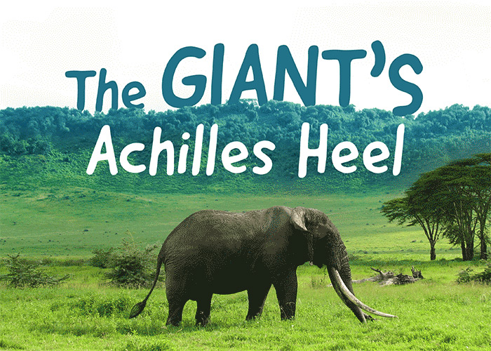 The Giant's Achilles Heel