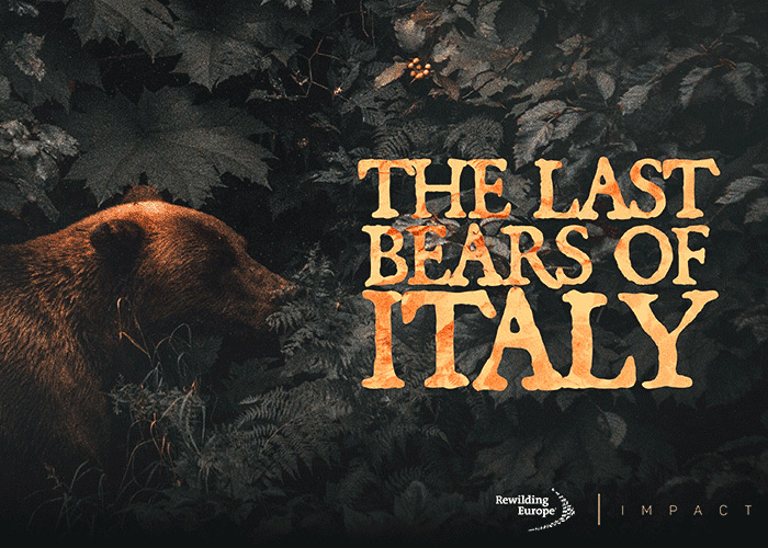The Last Bears of Italy