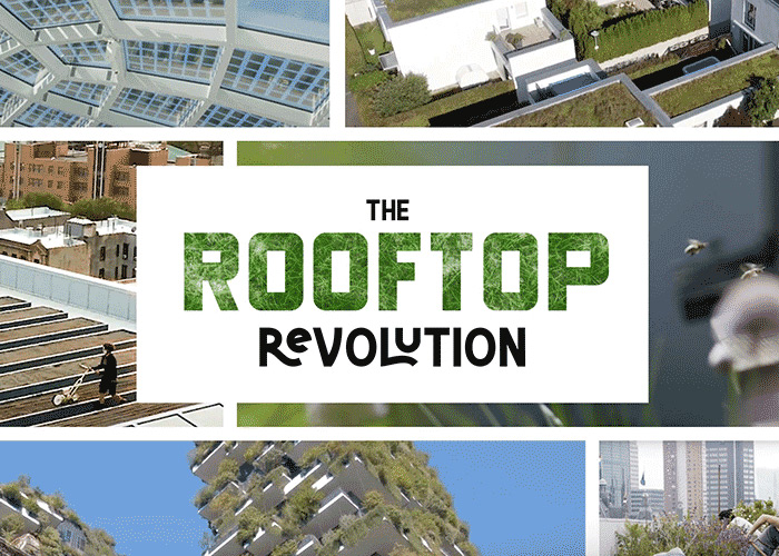 The Rooftop Revolution