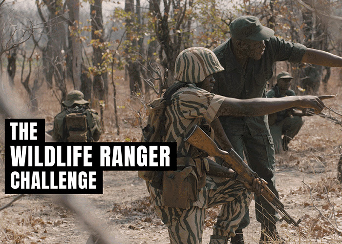 The Wildlife Ranger Challenge