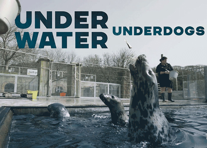 Underwater Underdogs