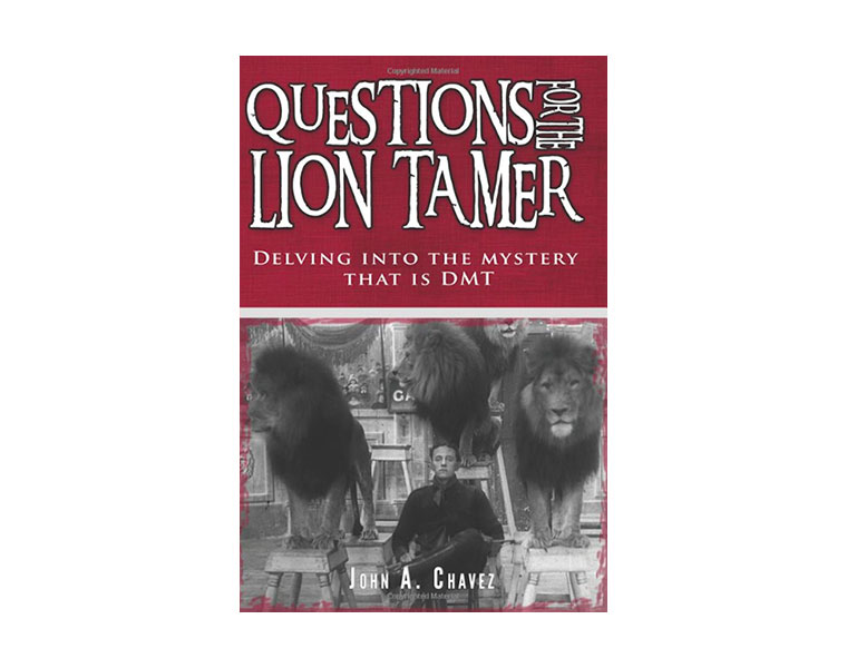 Cover for Questions for the Lion Tamer