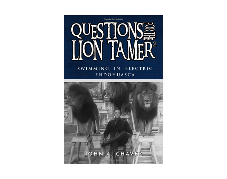 Cover for Questions for the Lion Tamer 2