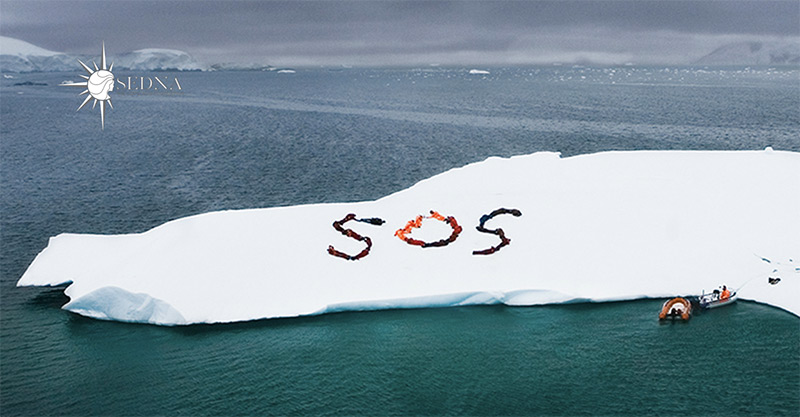 Sedna Foundation
