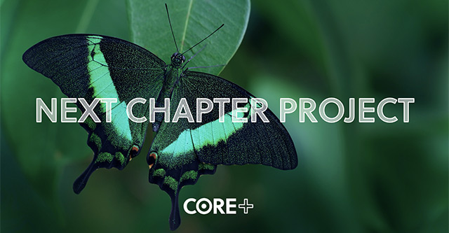 Next Chapter Project