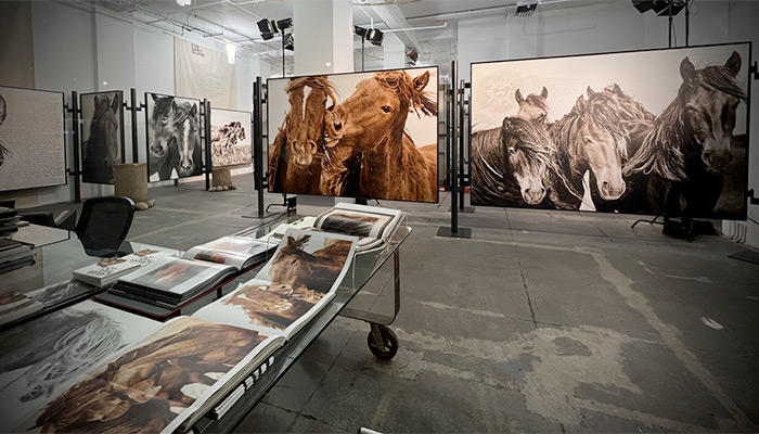 Photo of REYKJAVIK GLOBAL INITIATIVE