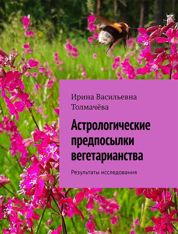Cover for The Mechanics of Gratitude - Foreign edition