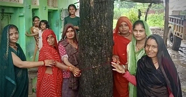 Photo of Navdanya Farm